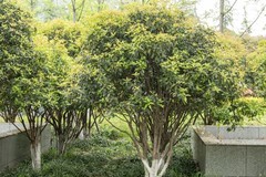 庐州印象（643）地铁站的风景