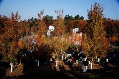 武汉映像---文华学院第十二届红枫文化节！