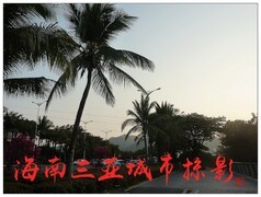 旅游随拍------海南 三亚城市掠影