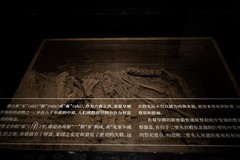 二里头博物馆  藏品展示二