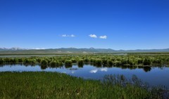 仲夏川北行——若尔盖花湖生态旅游区【1】