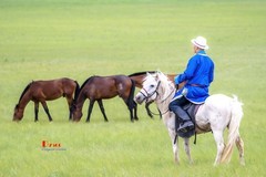 骏马驰骋（33）