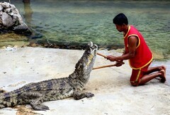 1321【不老松：纪实摄影】《异国风情录》三国演义：新加坡、马來西亚、泰国游记！(18)