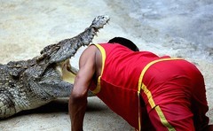 1322【不老松：纪实摄影】《异国风情录》三国演义：新加坡、马來西亚、泰国游记！(19)