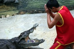 1322【不老松：纪实摄影】《异国风情录》三国演义：新加坡、马來西亚、泰国游记！(19)