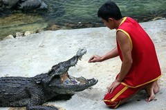 1322【不老松：纪实摄影】《异国风情录》三国演义：新加坡、马來西亚、泰国游记！(19)