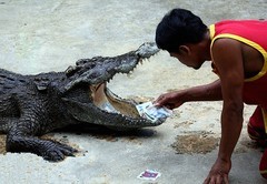 1323【不老松：纪实摄影】《异国风情录》三国演义：新加坡、马來西亚、泰国游记！(20)