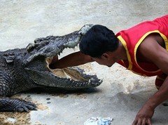 1323【不老松：纪实摄影】《异国风情录》三国演义：新加坡、马來西亚、泰国游记！(20)