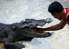 1323【不老松：纪实摄影】《异国风情录》三国演义：新加坡、马來西亚、泰国游记！(20)