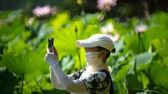 裕西公园拍荷花