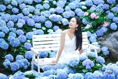 【漫入蓝色花潮】---丰银