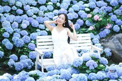 【漫入蓝色花潮】---丰银