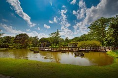 西双版纳热带植物园7