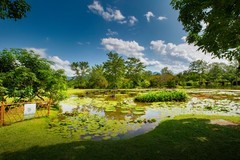 西双版纳热带植物园7