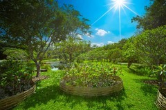 西双版纳热带植物园8