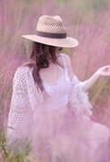 粉黛花开