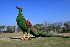 凤鸣湖活力岛
