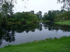 成都新津白鹤滩湿地公园掠影（三）