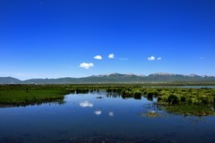 仲夏川北行——若尔盖花湖生态旅游区【1】