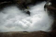 重庆市开放式动物园（五）