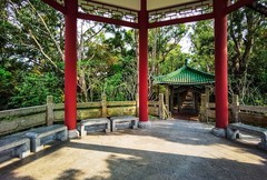 深圳东湖公园 掠影