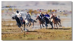 南彊行一一马背上的角逐