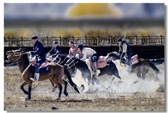 南彊行一一马背上的角逐