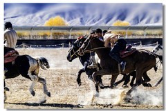 南彊行一一马背上的角逐