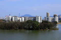 温州园博园西园 (5)