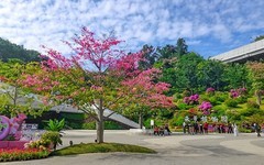 [26112] 云萝植物园