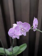 2026春节皖浙赣（47）景德镇陶溪川是治愈之旅