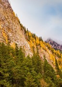 外出随拍（766）.