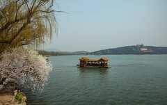 西堤春早之二（完）