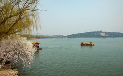 西堤春早之二（完）