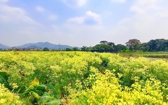 [26206] 丹丘村的田野上