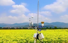 [26206] 丹丘村的田野上