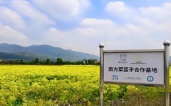 [26206] 丹丘村的田野上