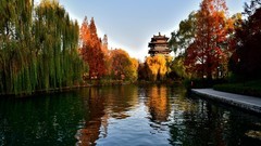 【视觉光影】明 湖 初 冬（1）