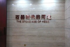 《石器时代的河北》展览