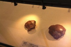 《石器时代的河北》展览