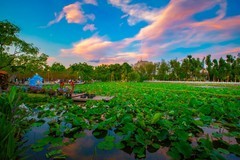 昆明翠湖风景 7