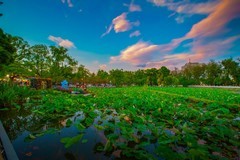 昆明翠湖风景 7