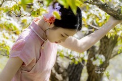 梨园树下（15）
