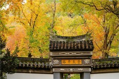 2026年第0020贴-苏州天平山红枫季旅拍（0107）