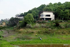 山中野趣