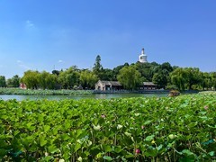 2025年- 北海公园风光纪实-0972