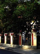 冬天里的行行摄摄 ------ 2