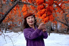 东村——沙棘果园人像篇（完）