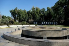 植物园蝴蝶兰二