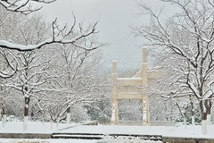 【视觉光影】瑞 雪 泉 城 （15）